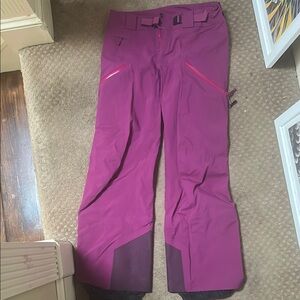Arc'teryx Sentinel Goretex Purple Snowpants